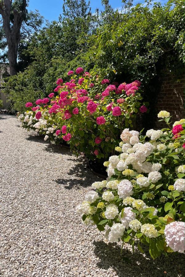 Bed and Breakfast Aux Remparts De Montreuil Montreuil  Exterior foto